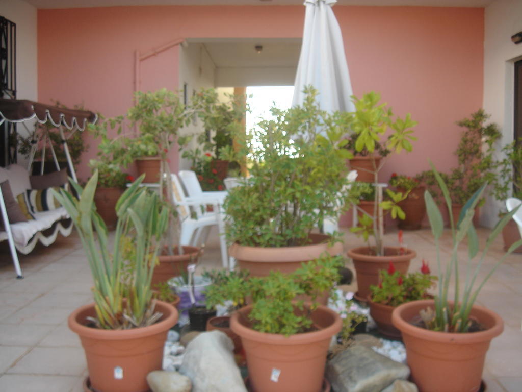 Iliaktida Apartments Rapanianá Exterior foto